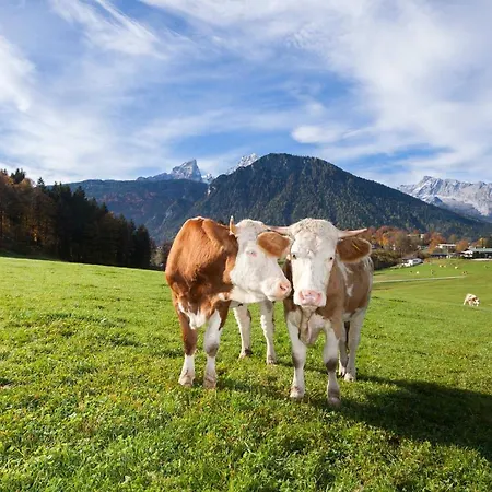 Untersulzberglehen Bauernhof